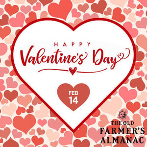 Valentines Day